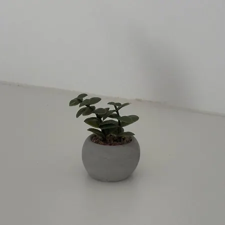 Apartment Olga's Sea View Studios, 400m From