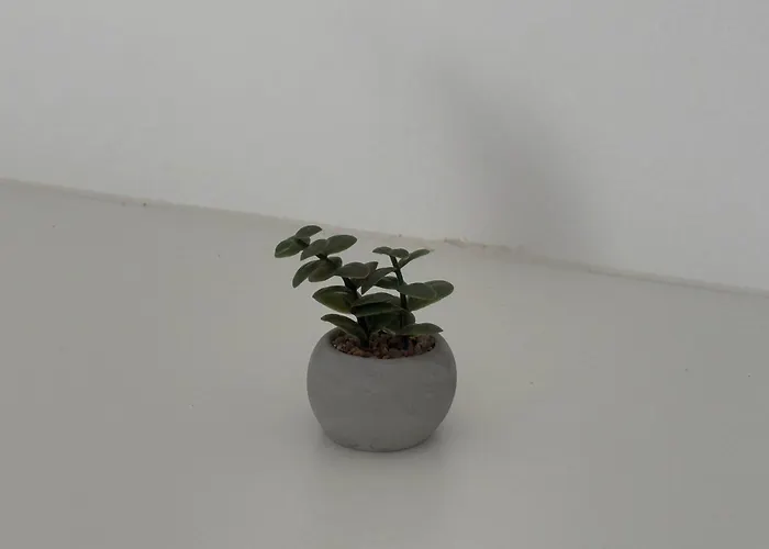 Апартаменты Olga's Sea View Studios, 400m From