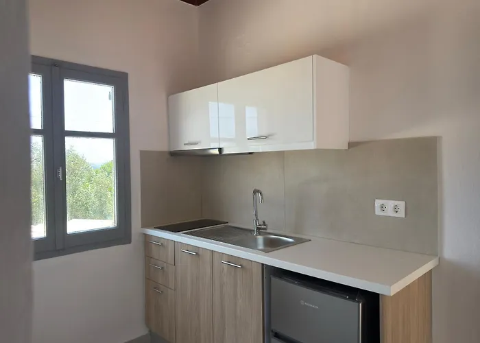 Olga's Sea View Studios, 400m From * Ипсос